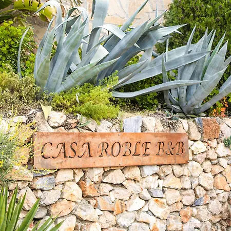 Bed and breakfast Casa Roble