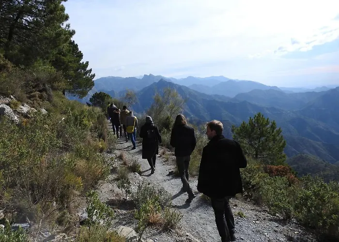 Oda ve Kahvaltı Casa Roble Cómpeta